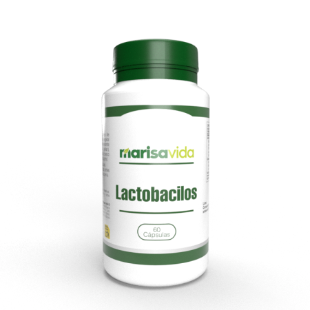 LACTOBACILLUS (Flora intestinal)