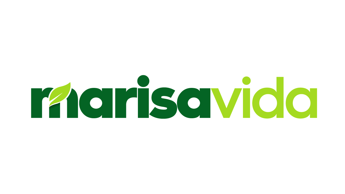 Marisavida